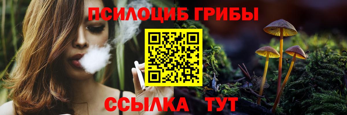 Галлюциногенные грибы Magic Shrooms  Вход с VPN  как найти закладки  Елец  Псилоцибиновые грибы MAGIC MUSHROOMS 